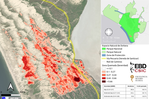 Mapa de severidad del incendio de Doñana.