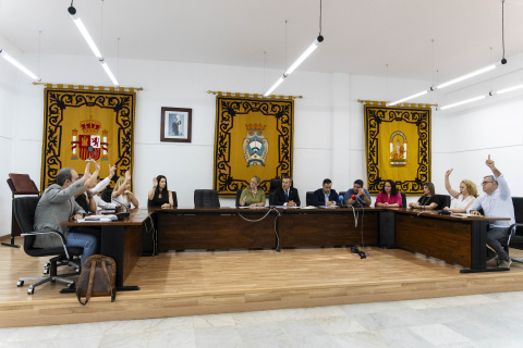 El pleno del Ayuntamiento de Carboneras frena la demolición del Algarrobico.