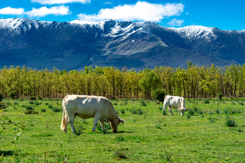 Riaza, un paraíso rural