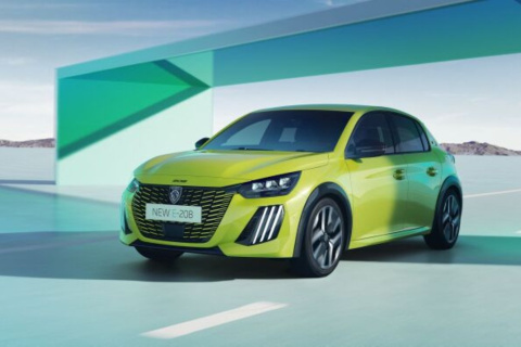 El Peugeot 208 ocupa la primera posición, seguido del Peugeot 2008. El tercer lugar le corresponde al SEAT Ibiza