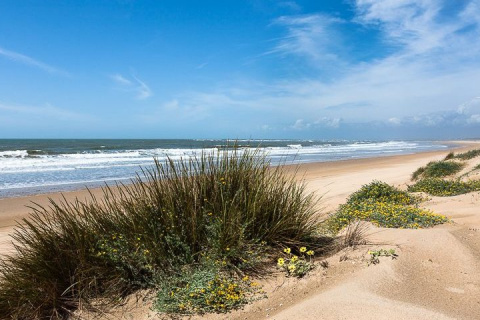 Playa de La Bota, Huelva.