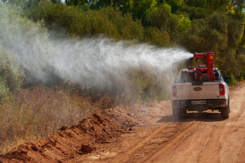 Operarios realizan trabajos de control y tratamiento de mosquitos transmisores del virus del Nilo occidental en la localidad sevillana de Los Palacios.