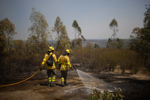 Efectivos del Infoca combaten el incendio forestal declarado en la localidad onubense de Niebla