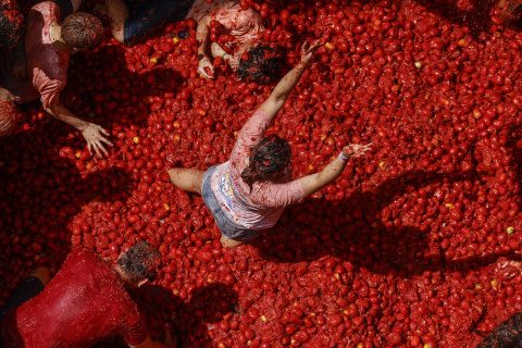 Tomatina de Buñol