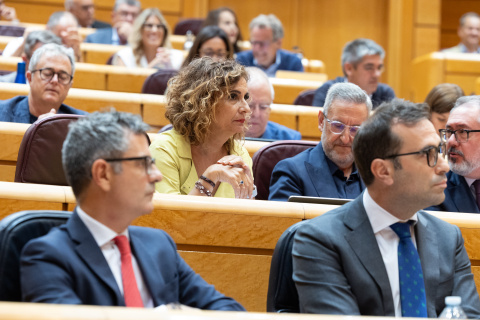 La senadora del PSOE María Jesús Montero.