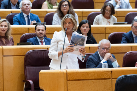 La portavoz del PP en el Senado, Alicia García, interviene durante una sesión en el Senado.