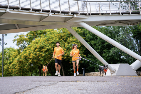 Dogfy Run