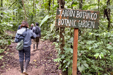 La selva esconde numerosas plantas utilizadas tradicionalmente como remedios medicinales.