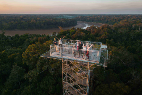 A 42 metros de altura, la selva se contempla desde otra perspectiva.