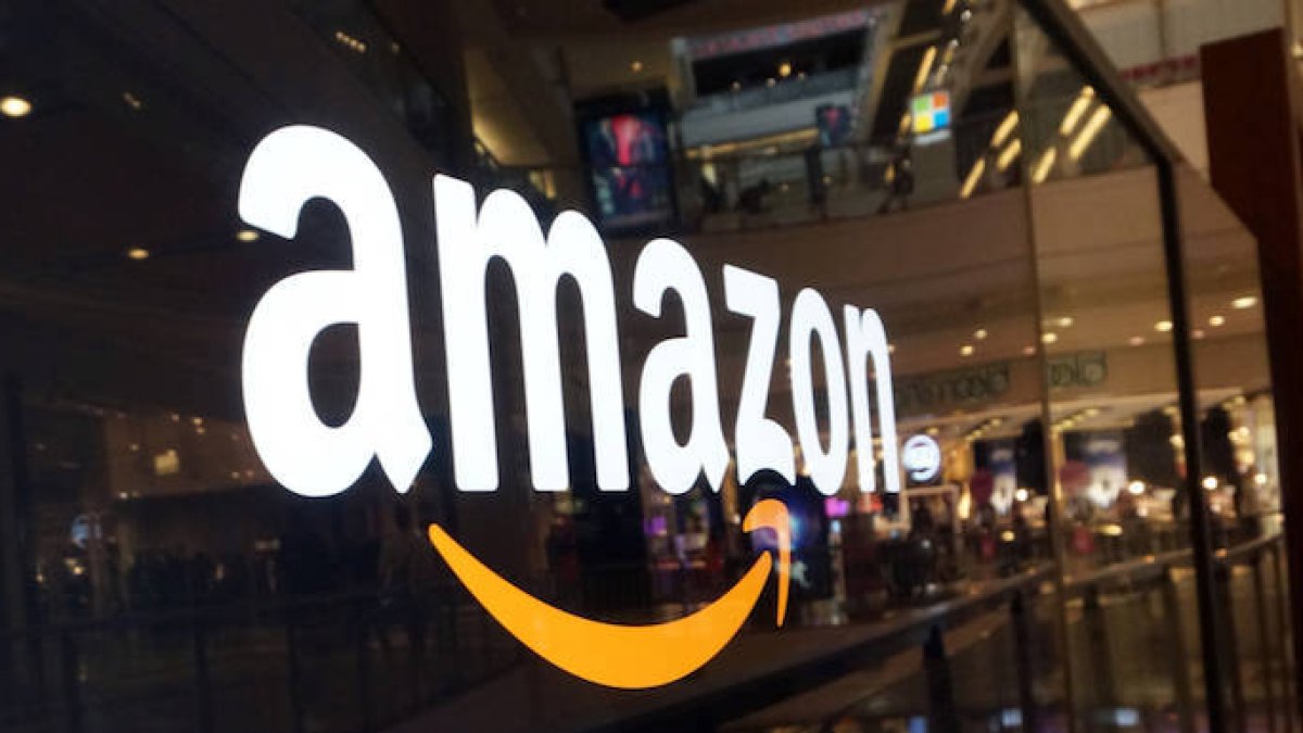 Amazon success cats