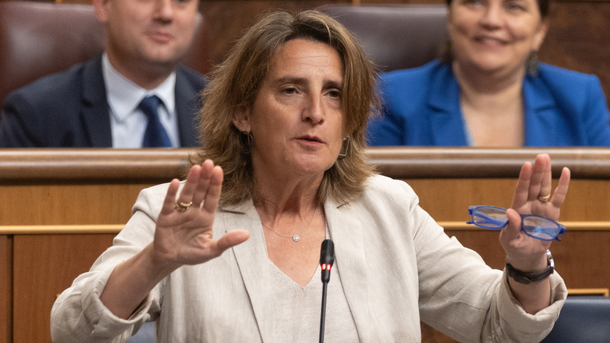 Teresa Ribera en el Congreso de los Diputados.