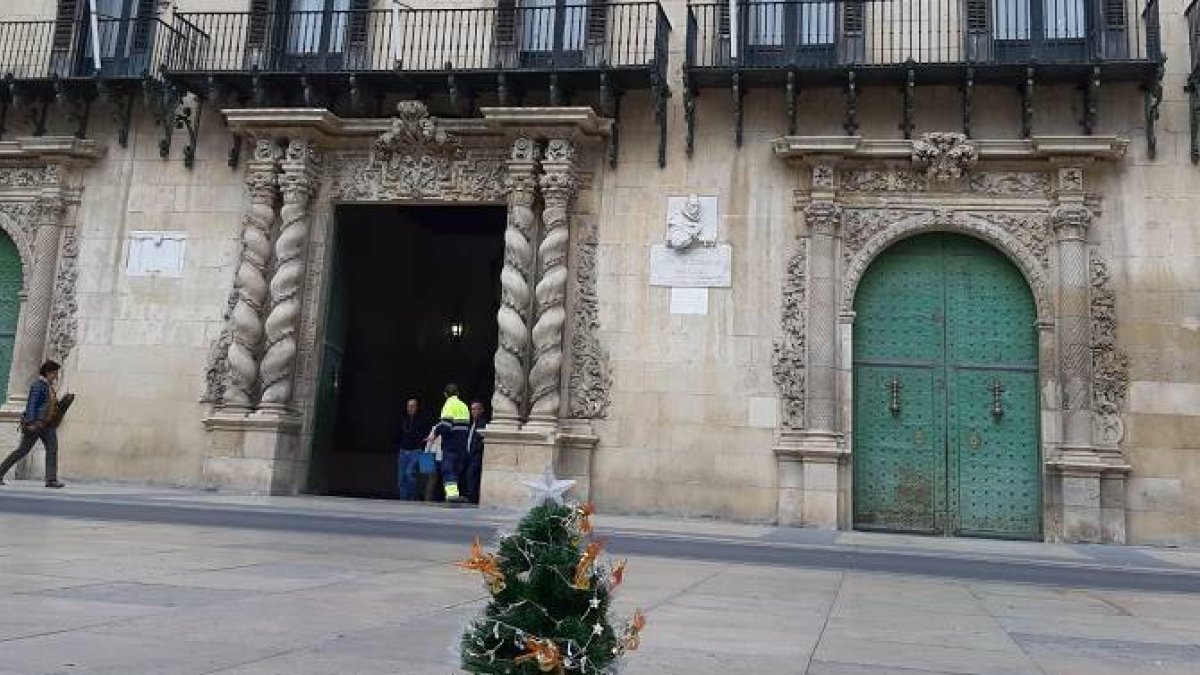 El árbol en la Plaza del AYuntamiento.