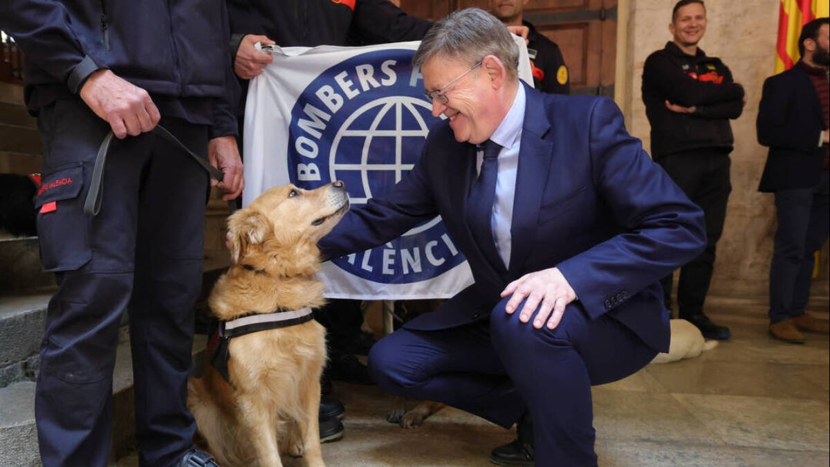 Bomberos y perros regresan de Turquía: 