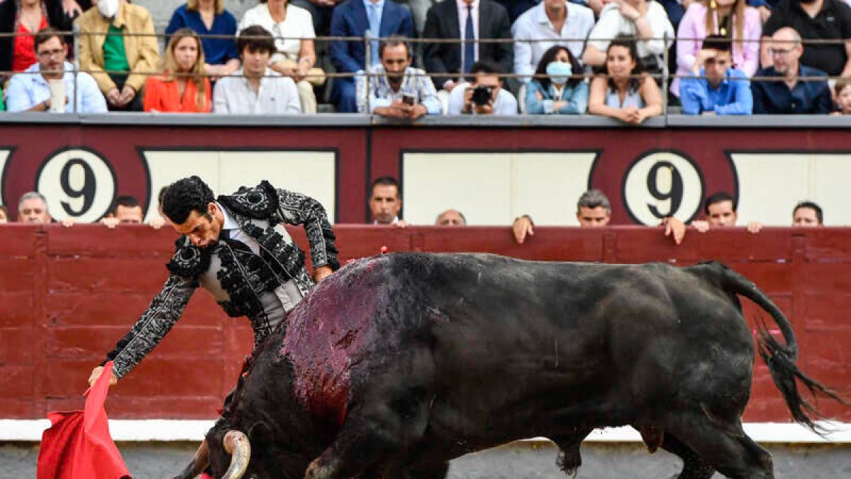 San Isidro 23ª. Los toros de Samuel Flores, un brindis y mucho valor