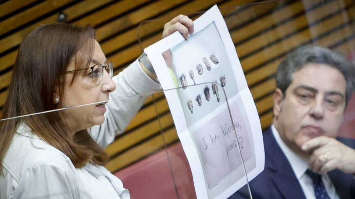 La diputada de Vox, Llanos Massó en Las Cortes Valencianas.