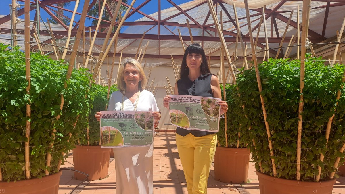 Bétera abre al público las puertas del Hort de Les Alfàbegues,