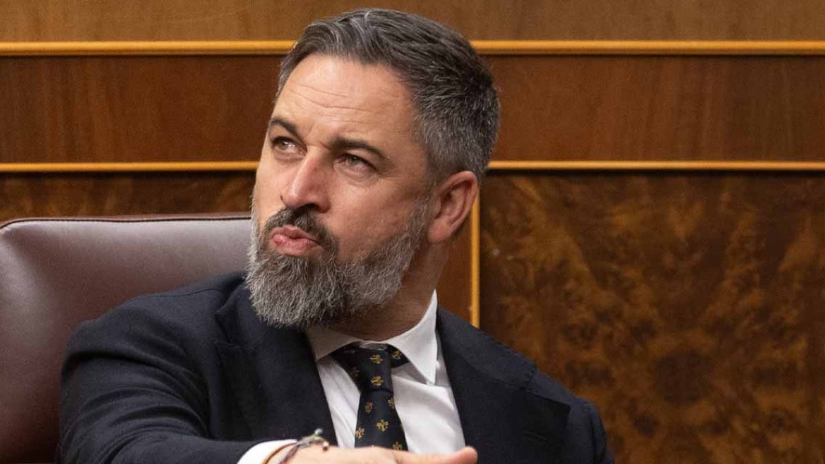 Santiago Abascal en el Congreso