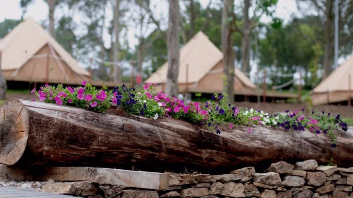 Alquila tu cabaña en el primer camping autosostenibe del 