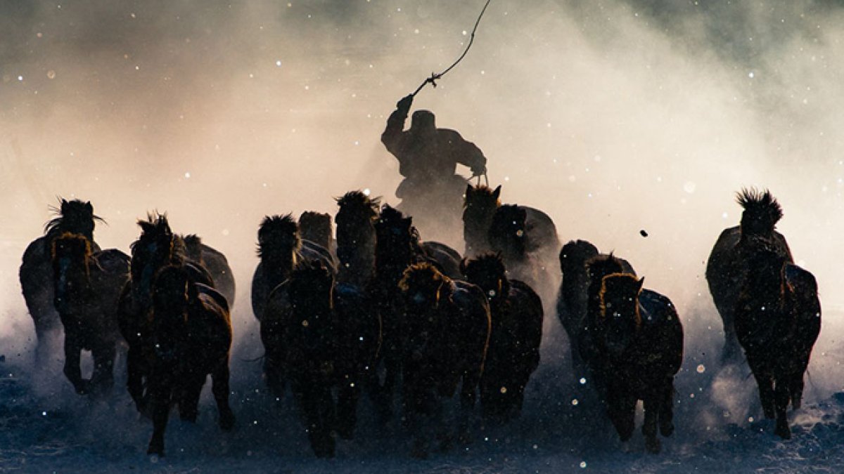 Las espectaculares fotos del concurso 2016 de National Geographic