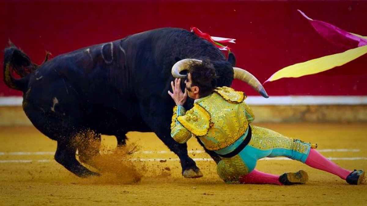 Un momento de la espeluznante cogida de Padilla.