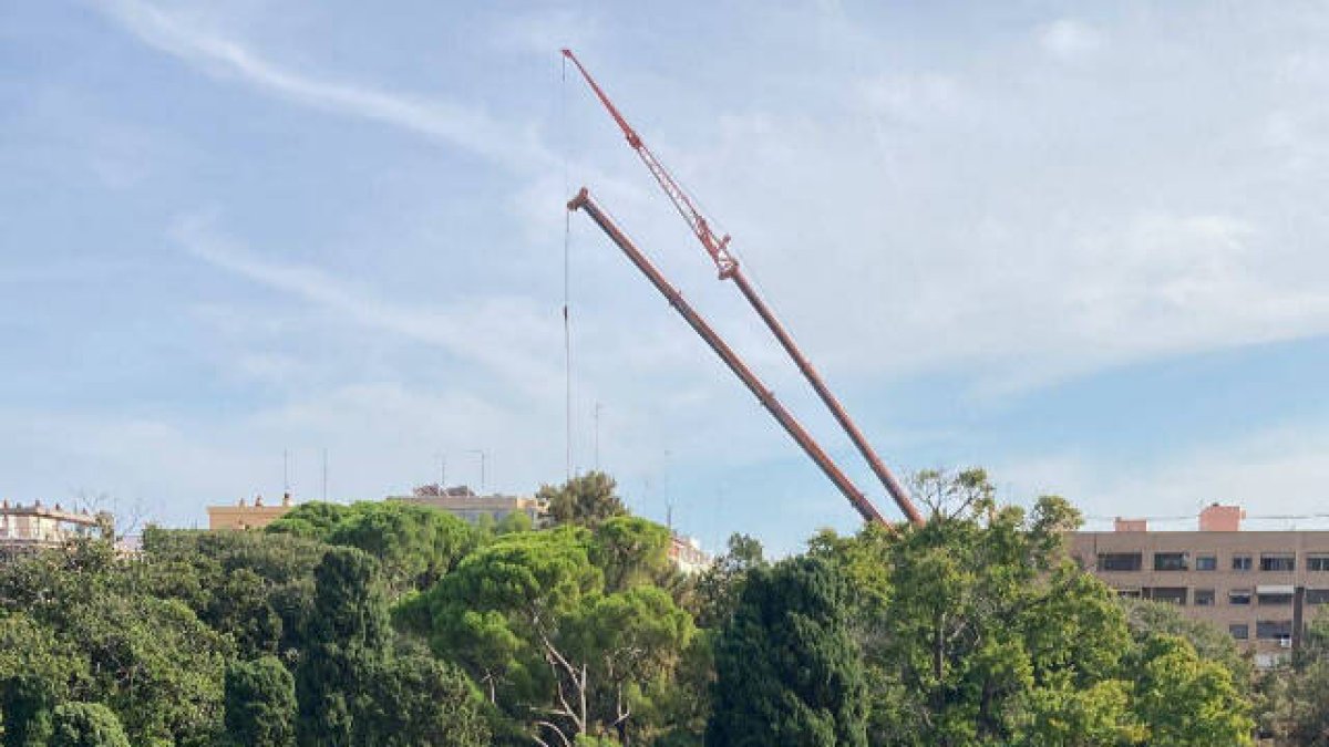 Grúas arrancando pinos en los jardines de Monforte de Valencia