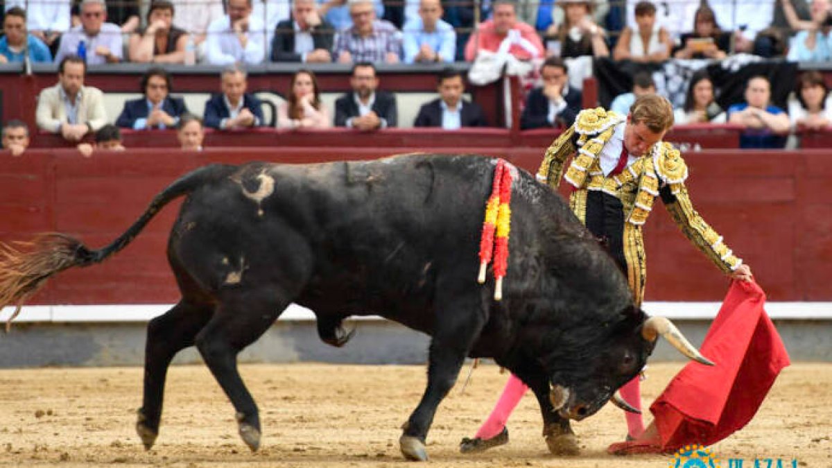 San Isidro 11ª. Pedraza de Yeltes, todo un concierto para el aburrimiento