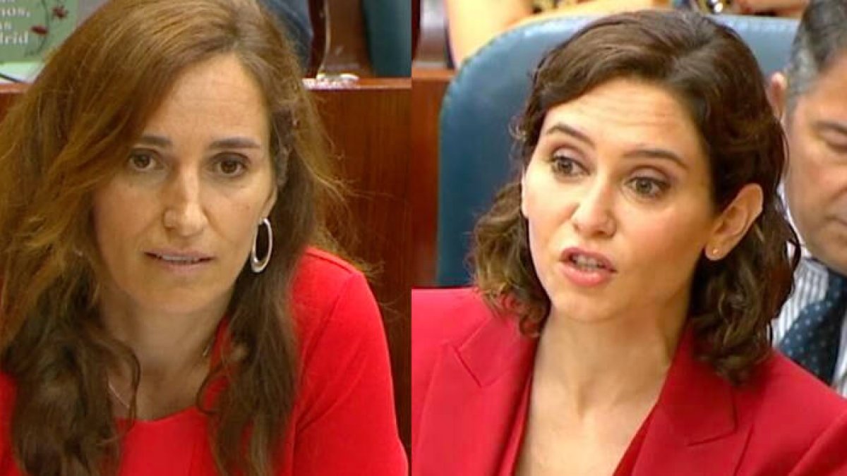 Isabel Díaz Ayuso y Mónica García