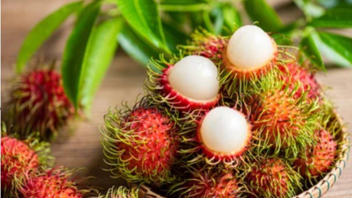 Rambután o fruta peluda