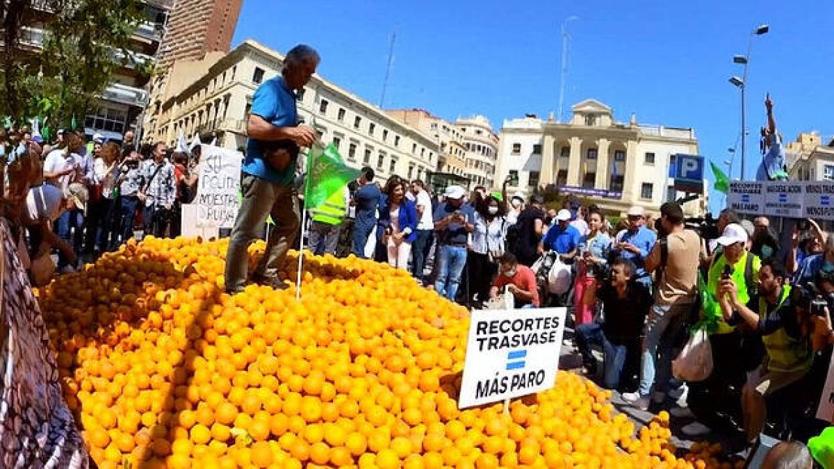 Los agricultores han abocado 8.000 kg. de naranjas en la plaza de la Montañeta