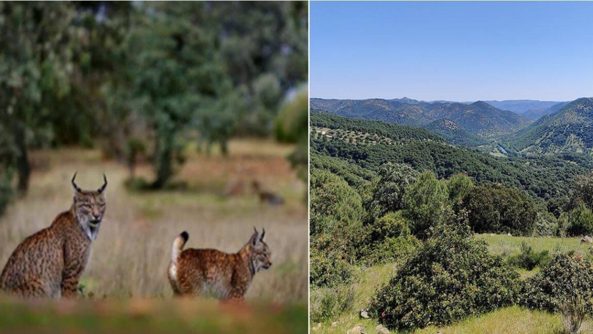 Parque Natural Sierra de Andújar en Jaén