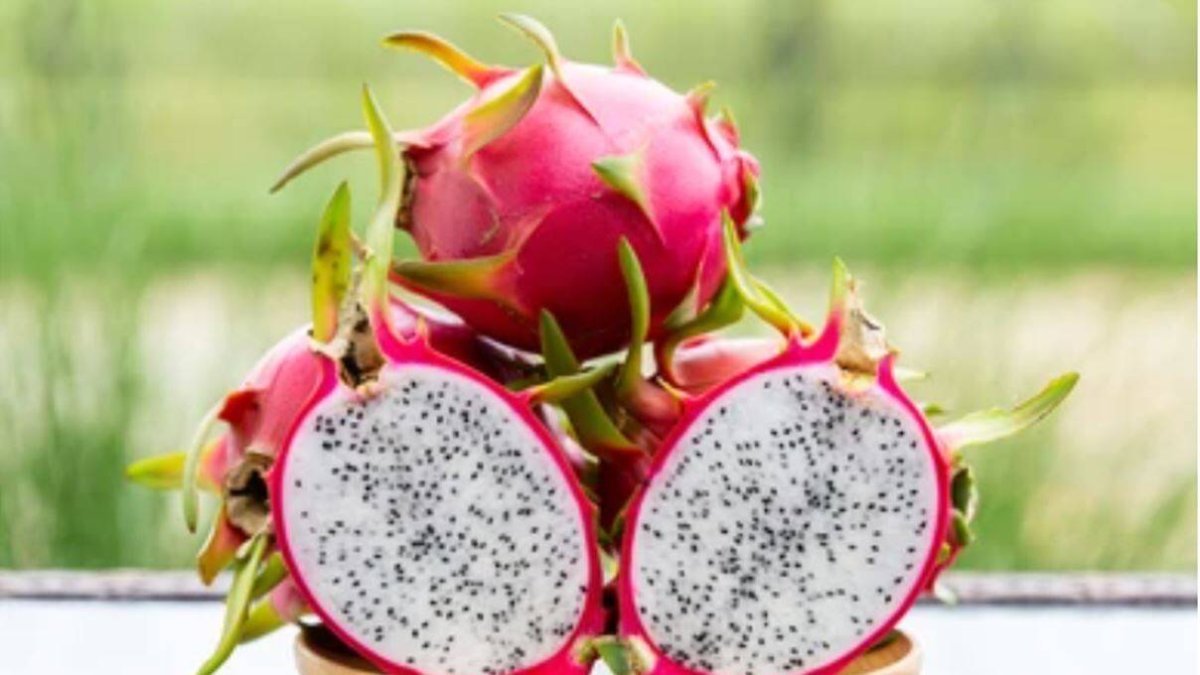 Pitahaya o fruta del dragón