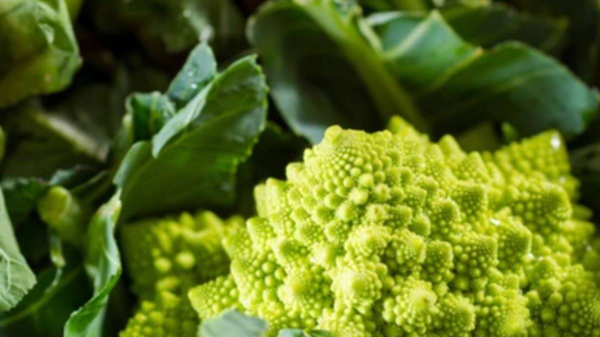 Propiedades del romanesco