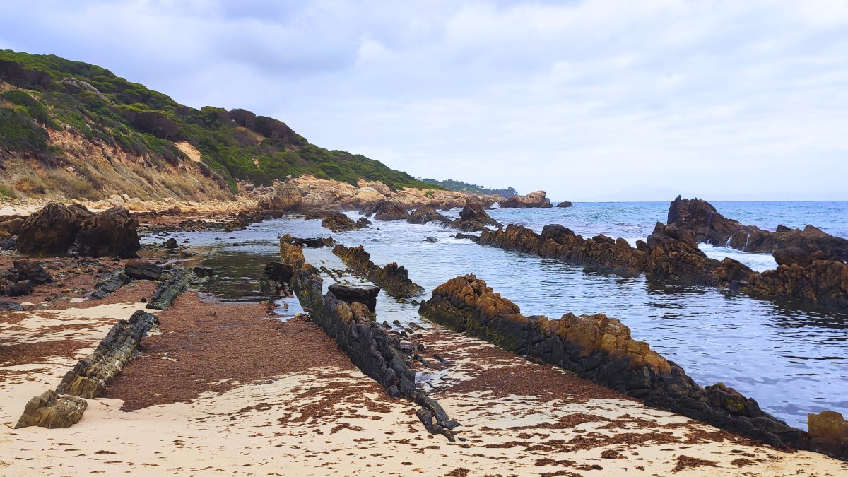 Las piscinas naturales de Bolonia sin arena y con algas (Tarifa, Cádiz).