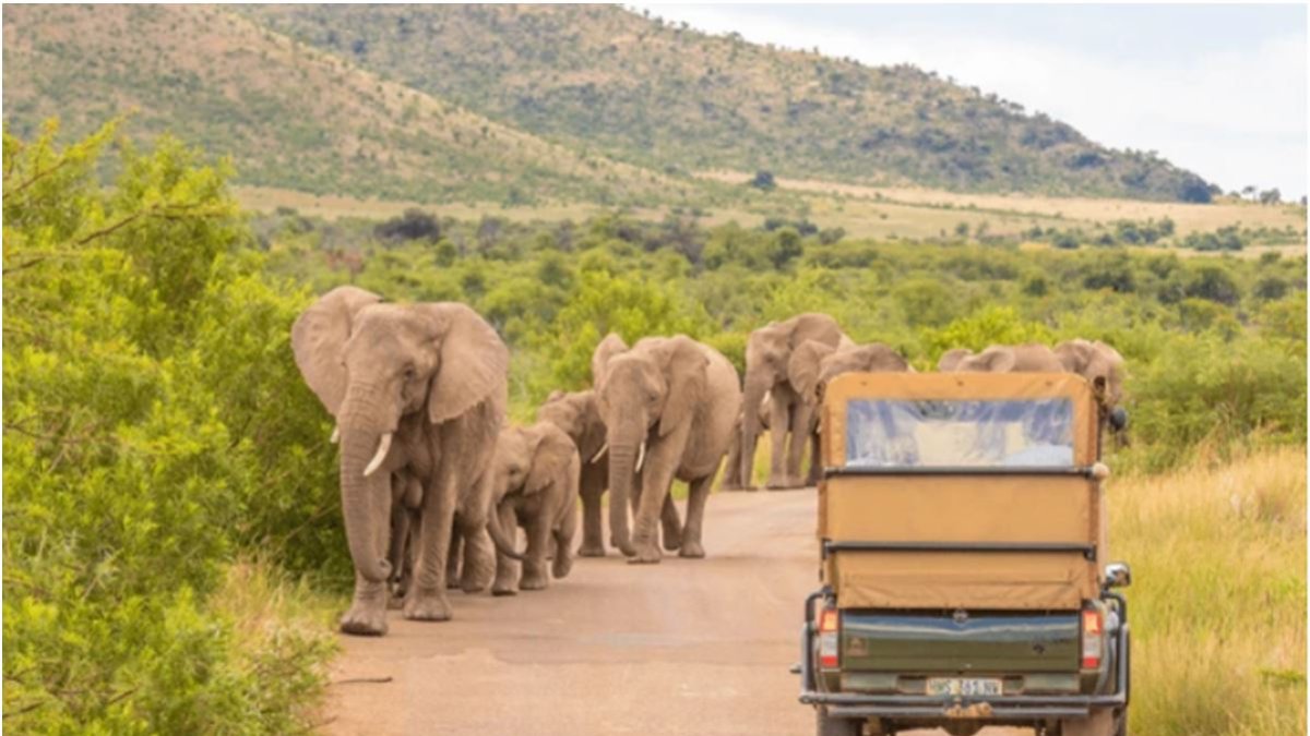 Parque Nacional Pilanesberg en Sudáfrica