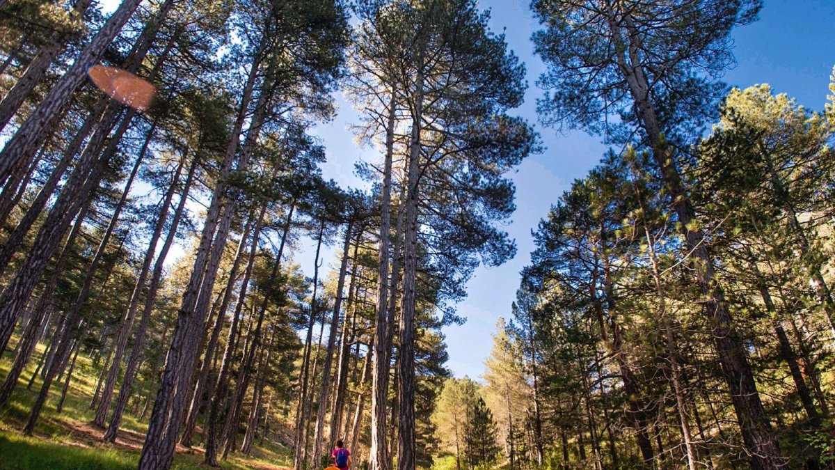 Sendero de la provincia de Castellón