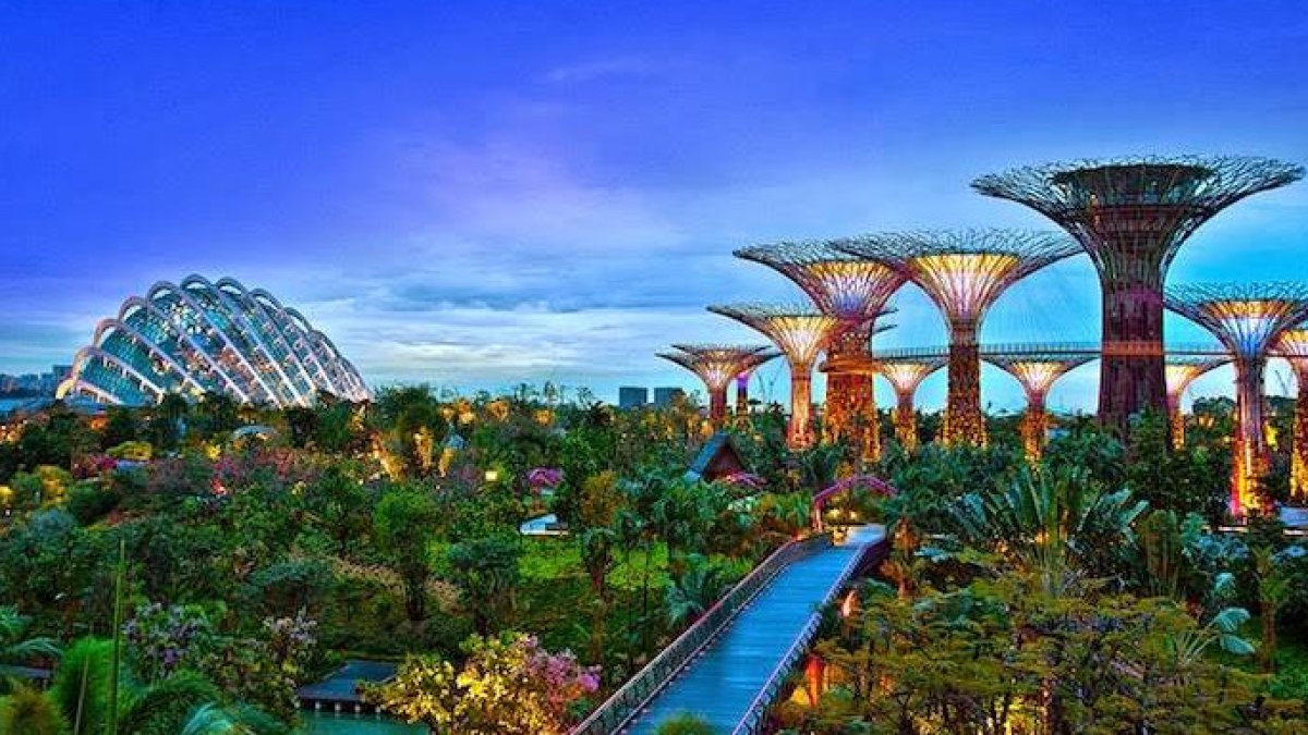 El espectáculo de los árboles futuristas de Singapur