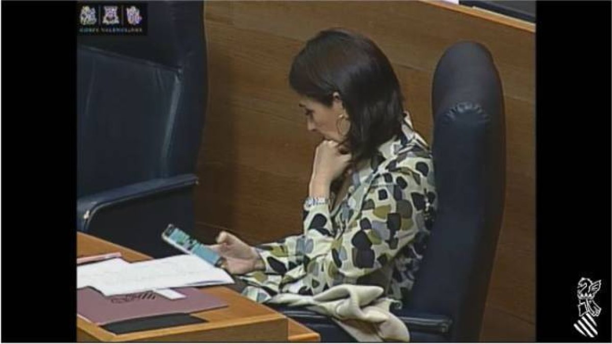 Imagen de la consellera de Sanidad, Carmen Montón, durante la sesión plenaria