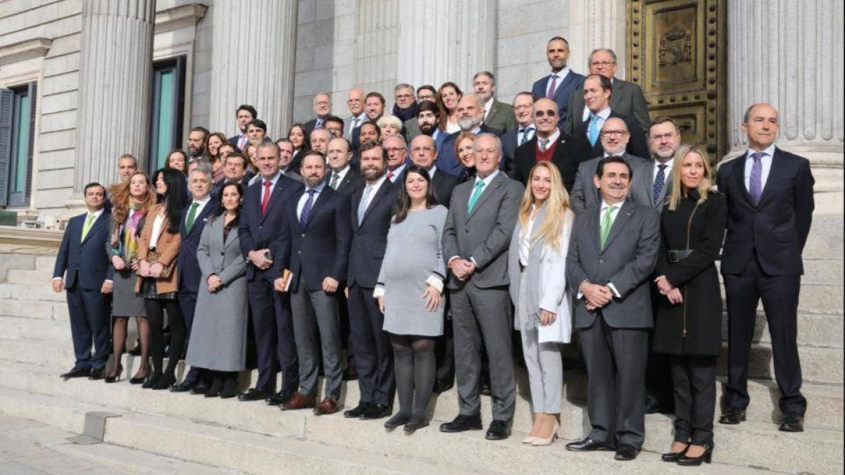 Todos los diputados de Vox. Abajo a la derecha, la ceutí Teresa López.