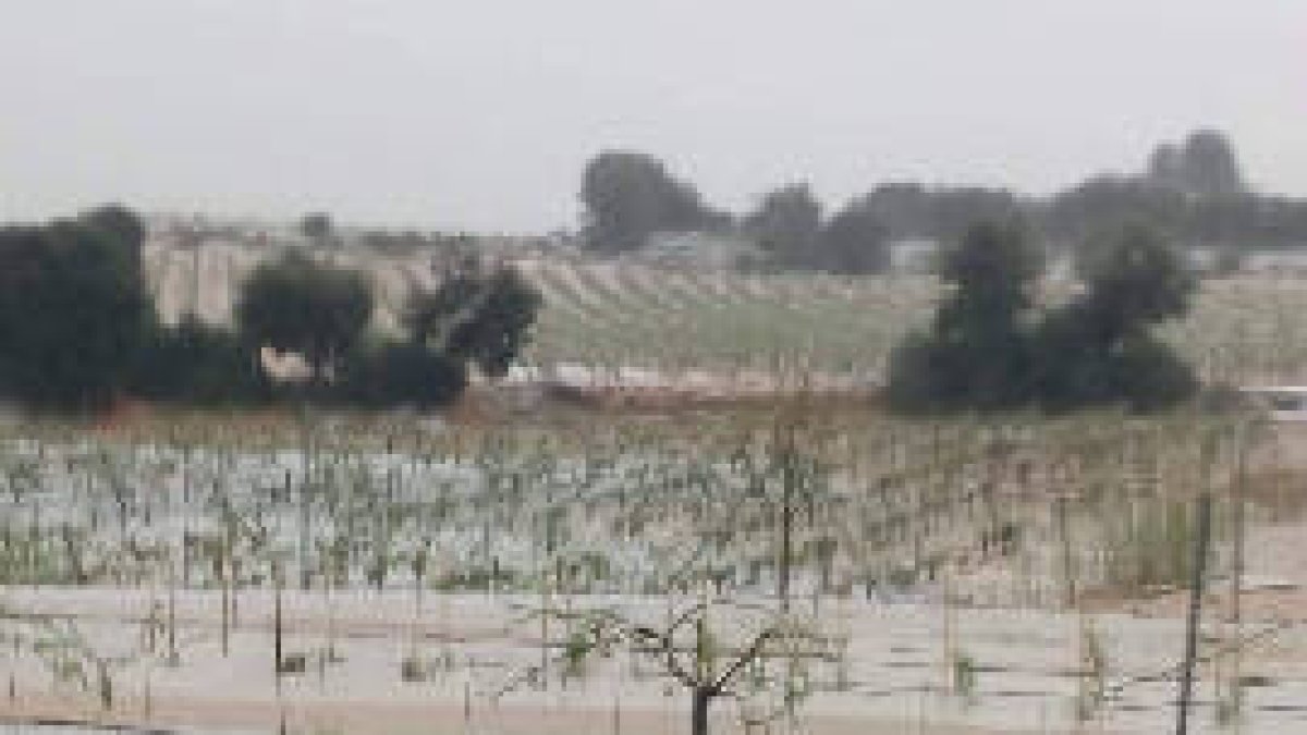 Tormenta Utiel Requena