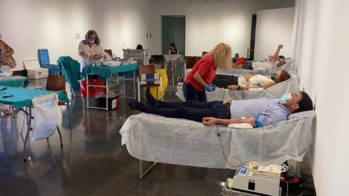 El alcalde de Alicante, Luis Barcala, durante una jornada de donación de sangre / FOTO: de archivo