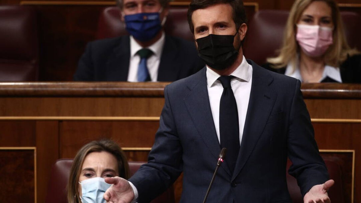 Pablo Casado, líder del PP