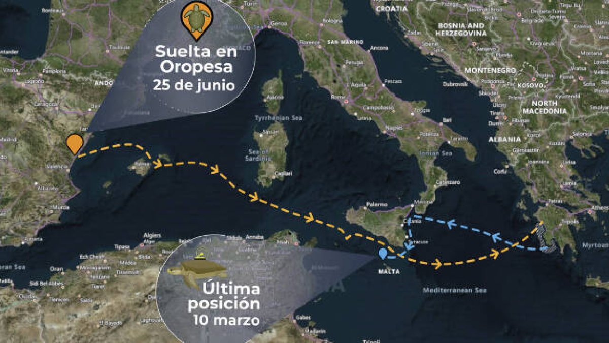 Ruta realizada por la tortuga Colomera