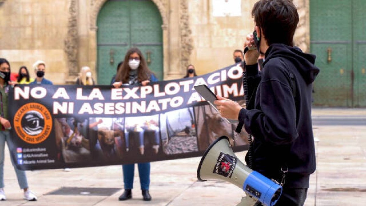 La concentración se ha desarrollado en la plaza del Ayuntamiento de Alicante