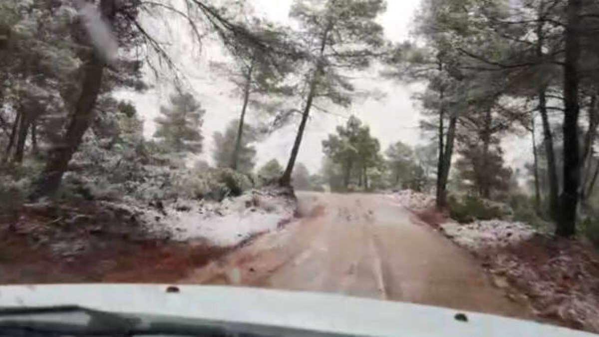 Nieve en la Sierra de Enguera (Albacete)