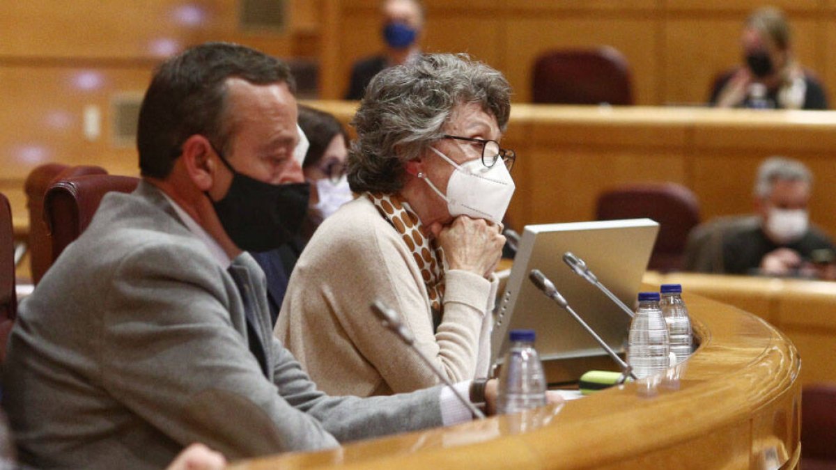 Rosa María Mateo este viernes en el Senado.