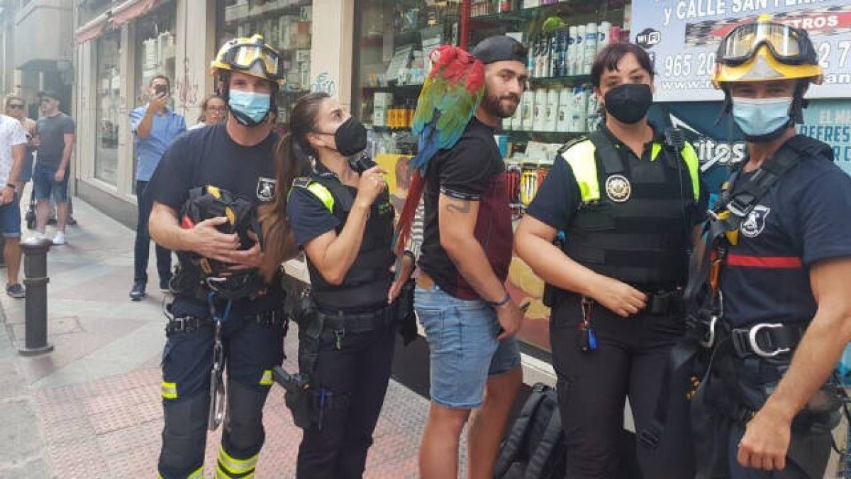 El rescate del loro guacamayo despertó una gran expectación