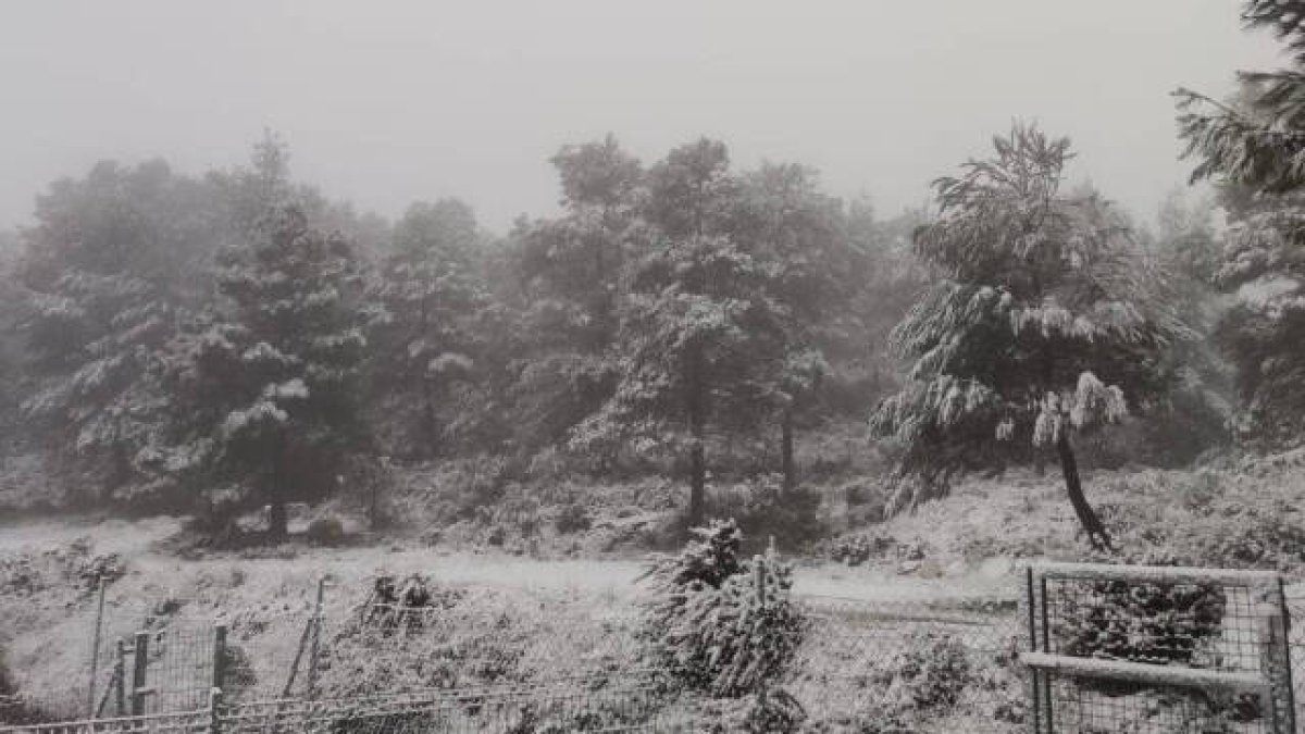 Imagen de la nieve en la Sierra de Enguera.