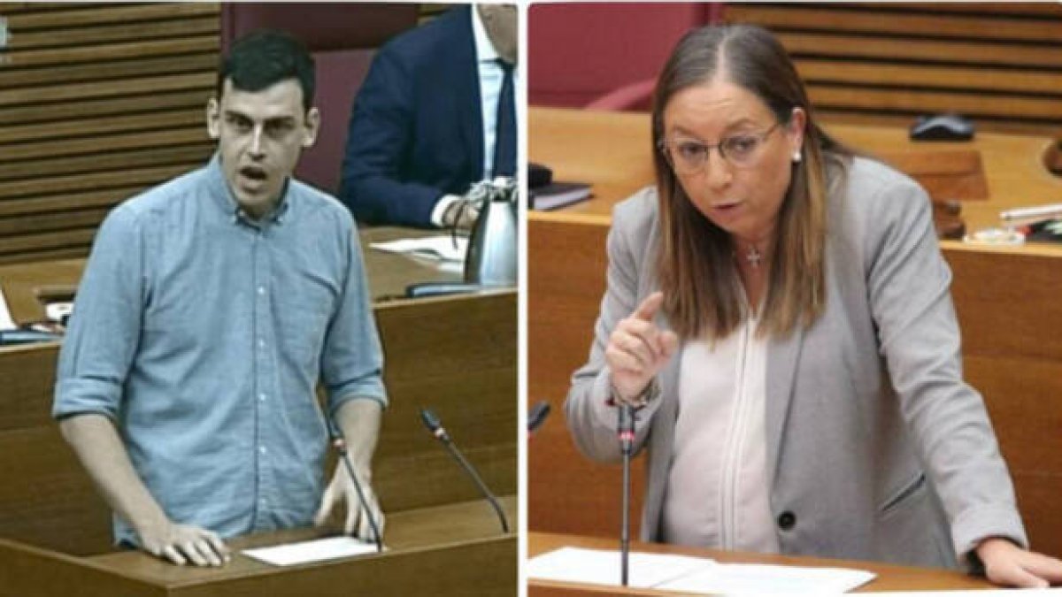 El diputado de Podemos, Ferran Martínez, y la diputada de Vox, Llanos Massó