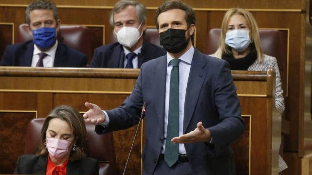 El líder del PP, Pablo Casado