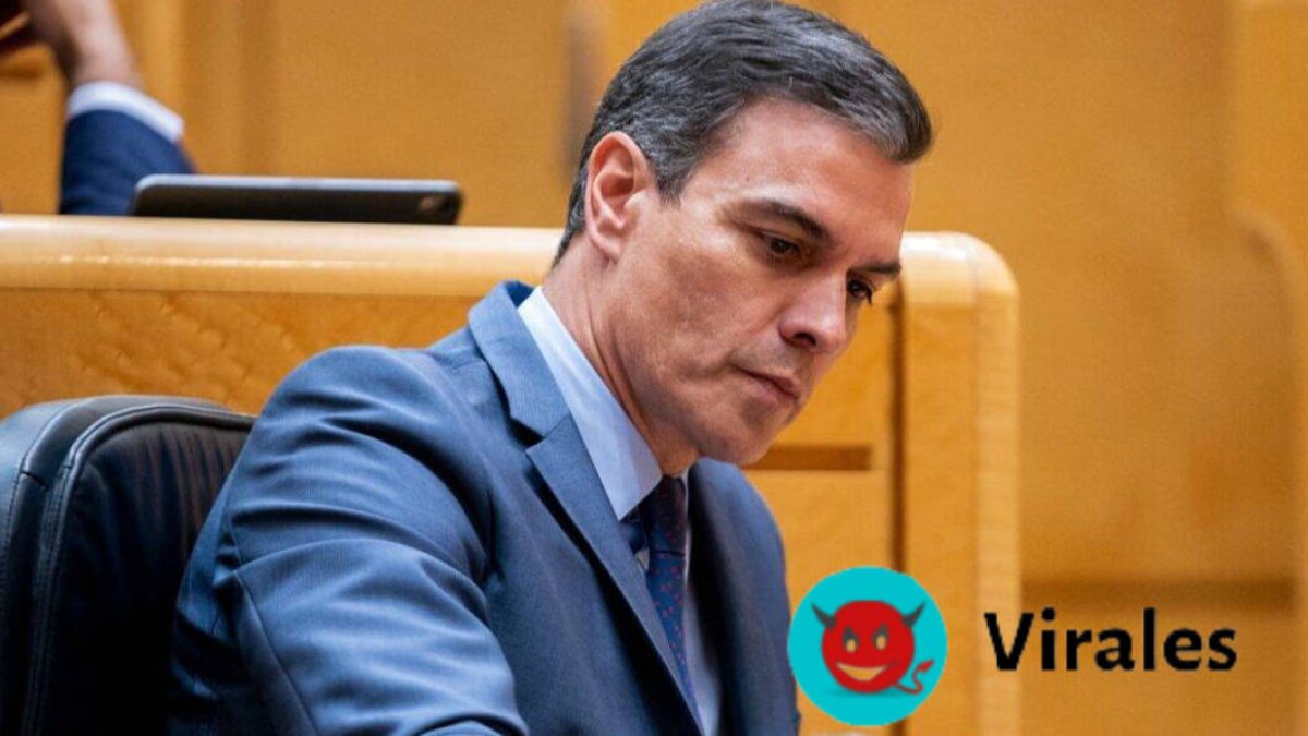 Pedro Sánchez